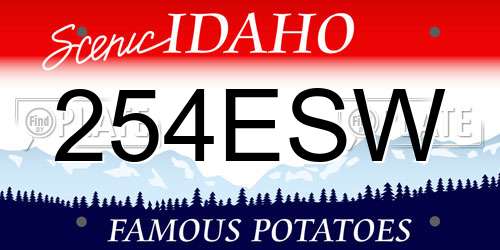 254ESW Idaho License Plate