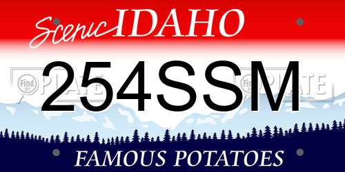 254SSM Idaho License Plate