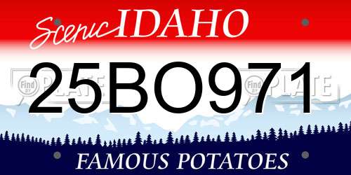 25BO971 Idaho License Plate
