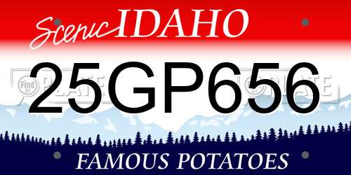 25GP656 Idaho License Plate