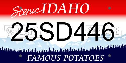 25SD446 Idaho License Plate
