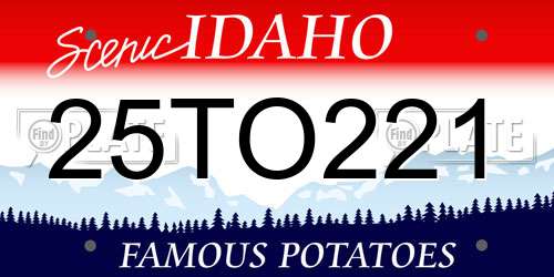 25TO221 Idaho License Plate