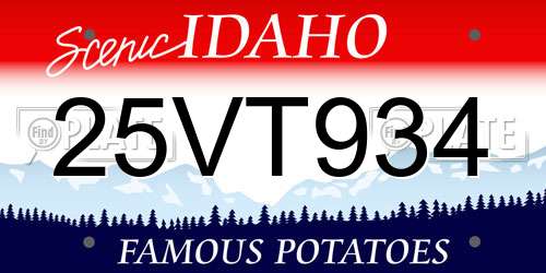 25VT934 Idaho License Plate