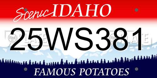 25WS381 Idaho License Plate