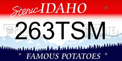 263TSM Idaho License Plate