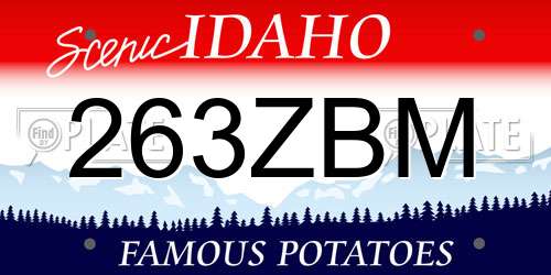 263ZBM Idaho License Plate