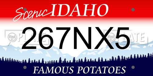267NX5 Idaho License Plate