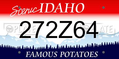 272Z64 Idaho License Plate