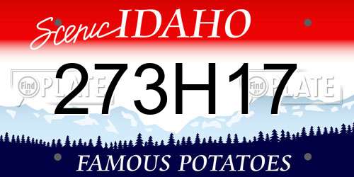 273H17 Idaho License Plate