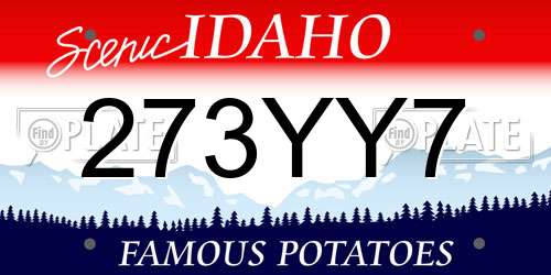 273YY7 Idaho License Plate