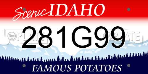 281G99 Idaho License Plate