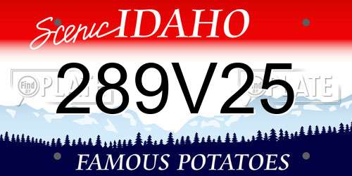 289V25 Idaho License Plate