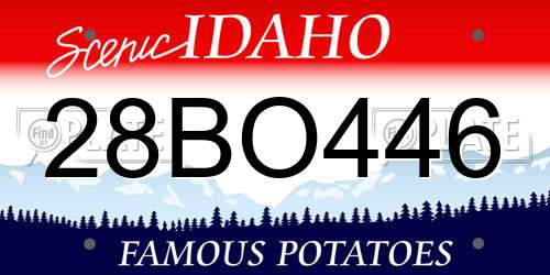 28BO446 Idaho License Plate