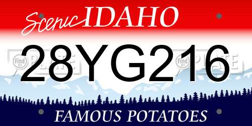 28YG216 Idaho License Plate