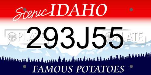 293J55 Idaho License Plate