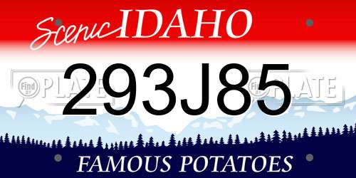 293J85 Idaho License Plate