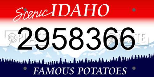 2958366 Idaho License Plate