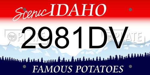 2981DV Idaho License Plate