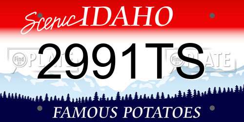 2991TS Idaho License Plate
