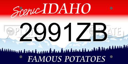 2991ZB Idaho License Plate