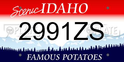 2991ZS Idaho License Plate