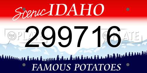 299716 Idaho License Plate