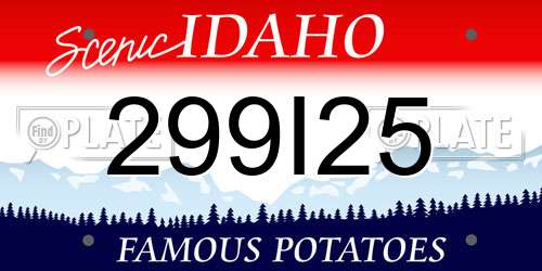 299I25 Idaho License Plate