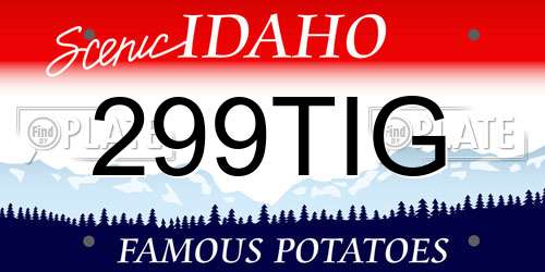 299TIG Idaho License Plate