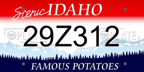 29Z312 Idaho License Plate