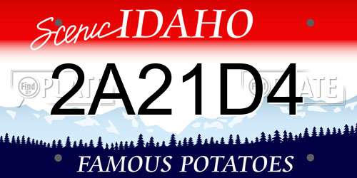 2A21D4 Idaho License Plate