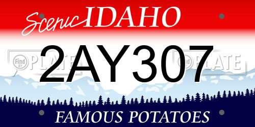2AY307 Idaho License Plate
