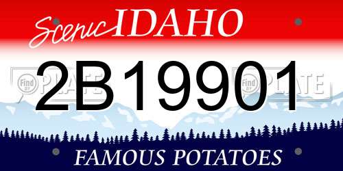 2B19901 Idaho License Plate