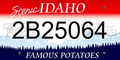 2B25064 Idaho License Plate