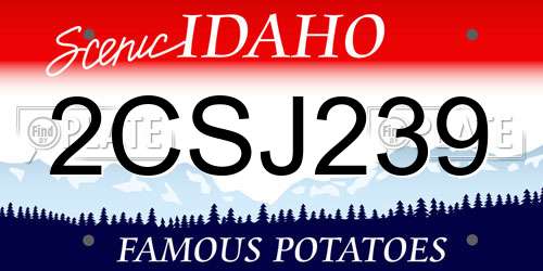 2CSJ239 Idaho License Plate