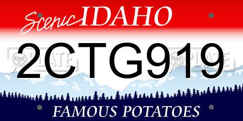2CTG919 Idaho License Plate