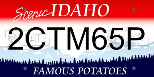 2CTM65P Idaho License Plate