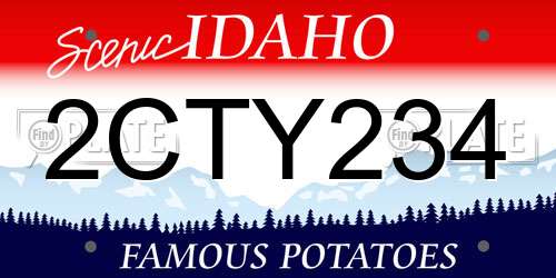 2CTY234 Idaho License Plate