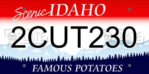 2CUT230 Idaho License Plate
