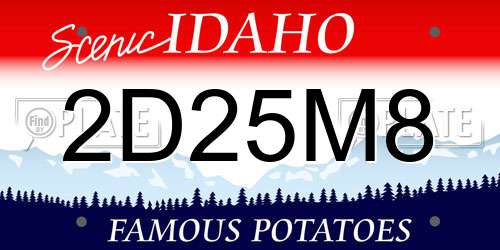 2D25M8 Idaho License Plate