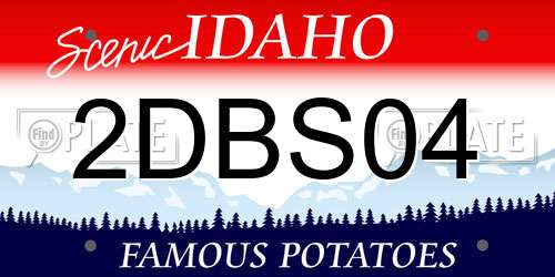 2DBS04 Idaho License Plate