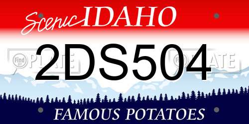2DS504 Idaho License Plate