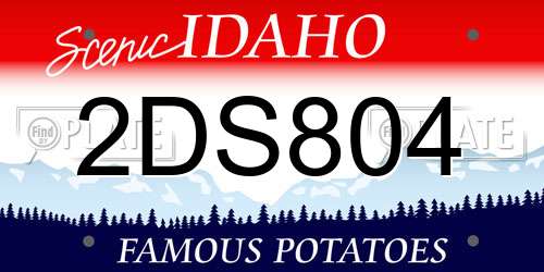 2DS804 Idaho License Plate