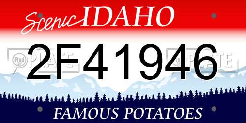 2F41946 Idaho License Plate