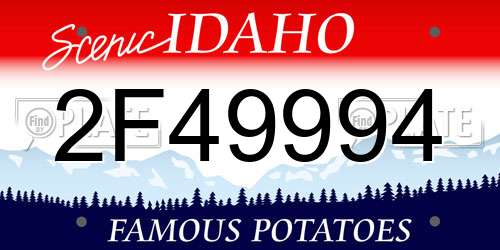 2F49994 Idaho License Plate