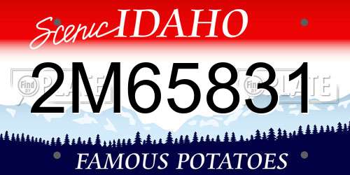 2M65831 Idaho License Plate