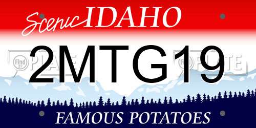 2MTG19 Idaho License Plate
