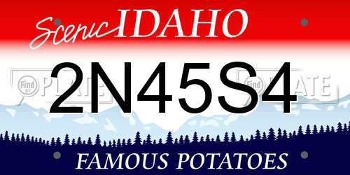 2N45S4 Idaho License Plate
