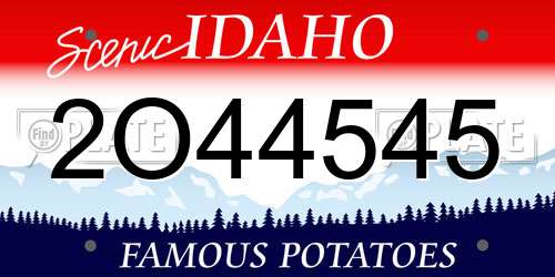 2O44545 Idaho License Plate