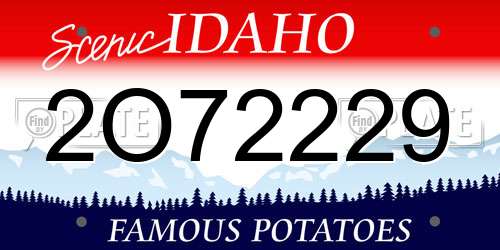 2O72229 Idaho License Plate