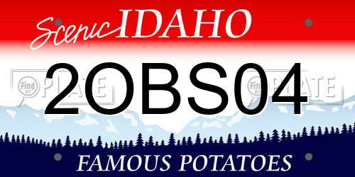 2OBS04 Idaho License Plate